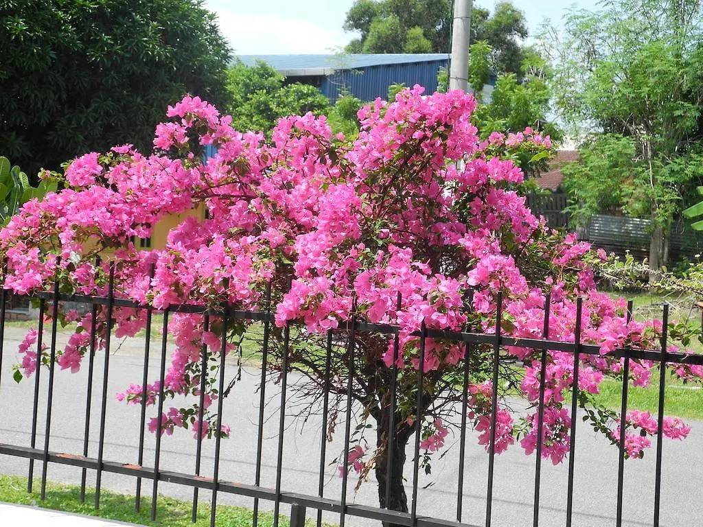Bed & Breakfast Driftwood Guest House Malacca